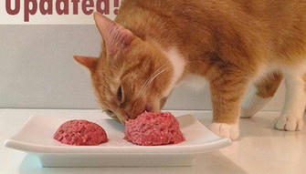 How to Make Homemade Cat Food